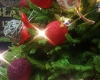 20181213_142441
