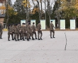 20191016_130717