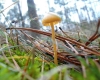 DSC04050