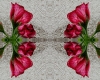 photostudio_1483630778952