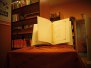 Międzynarodowy Miesiąc Bibliotek 