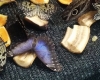 20180406_100810