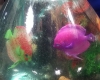 20180406_120413