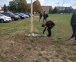 01 (28)