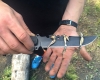 IMG_3518