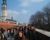 DSCF1981