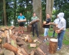 DSCF2079