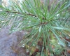 dsc00140