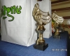 SAM_9966