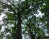 DSC09759