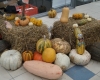 DSC04707