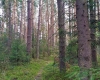 20160423_123750