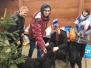 Wizyta w Przytulisku dla Bezdomnych Zwierząt 