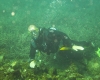 hvar-318