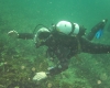 hvar-321