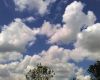IMAG0858