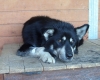 SAM_1781